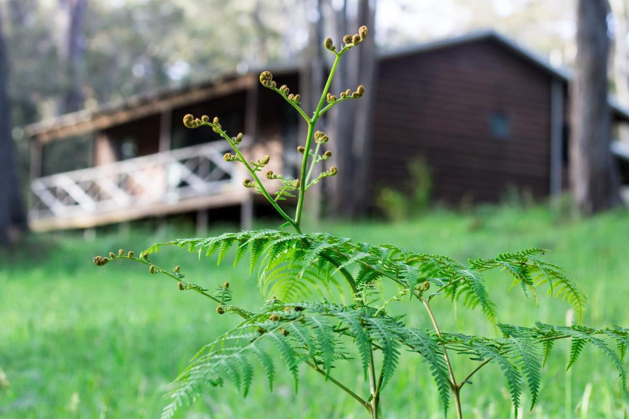Che Sara Sara Chalets Walpole Eksteriør billede